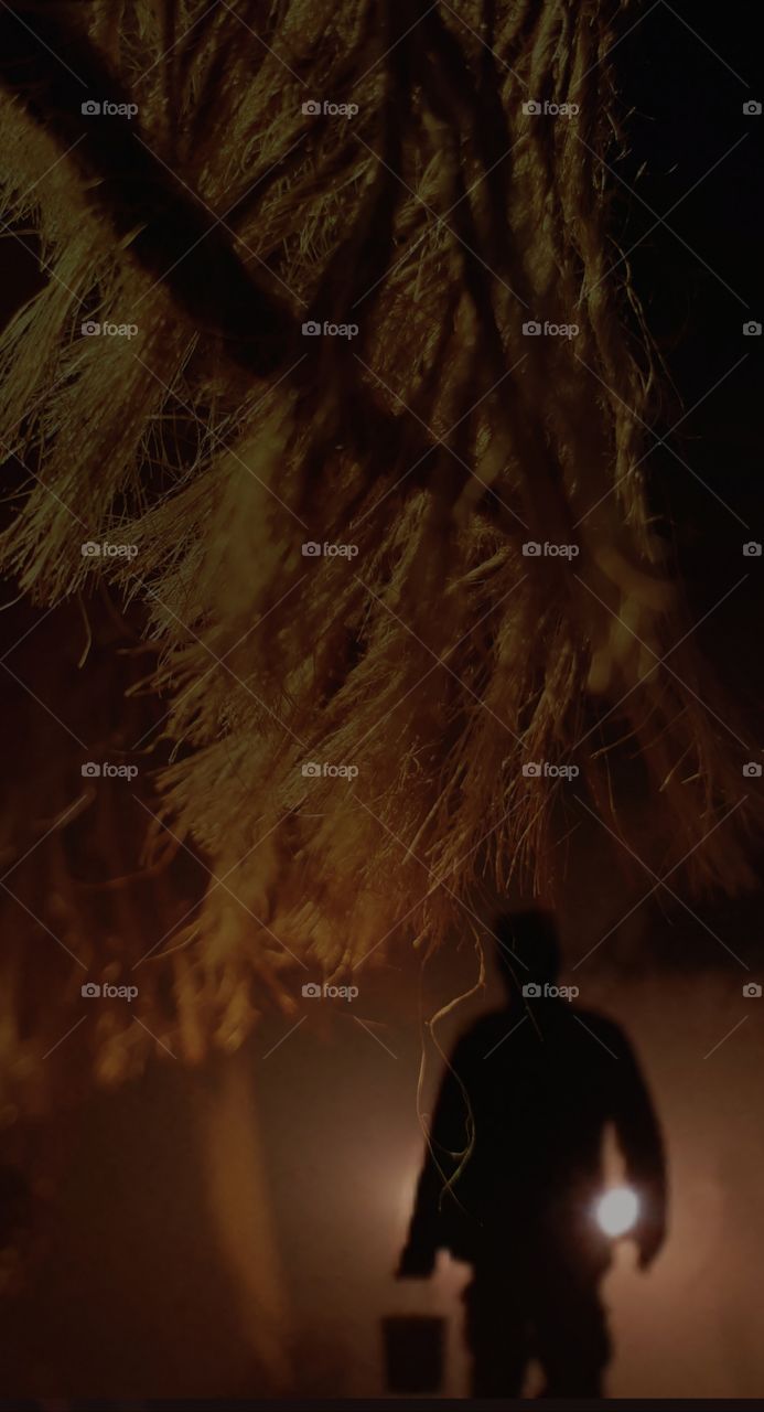 Time flies .when lights comes to life in its time  ,everything changes to gold