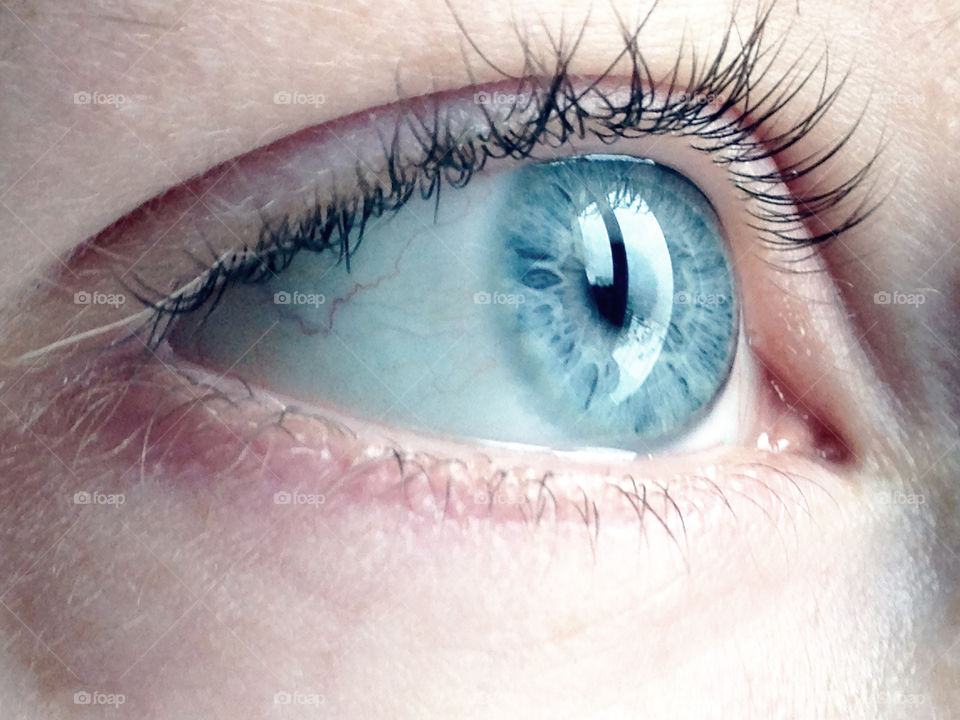 Close-up of blue eye