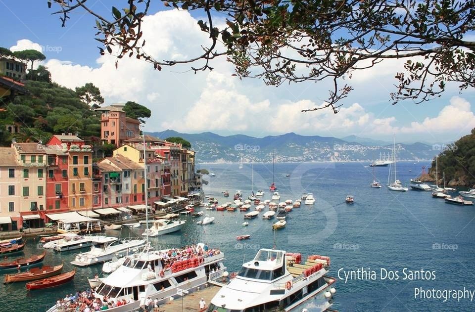 Hello portofino