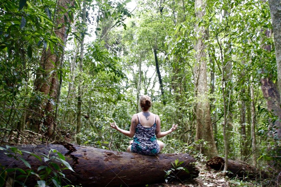 Brazilian nature 