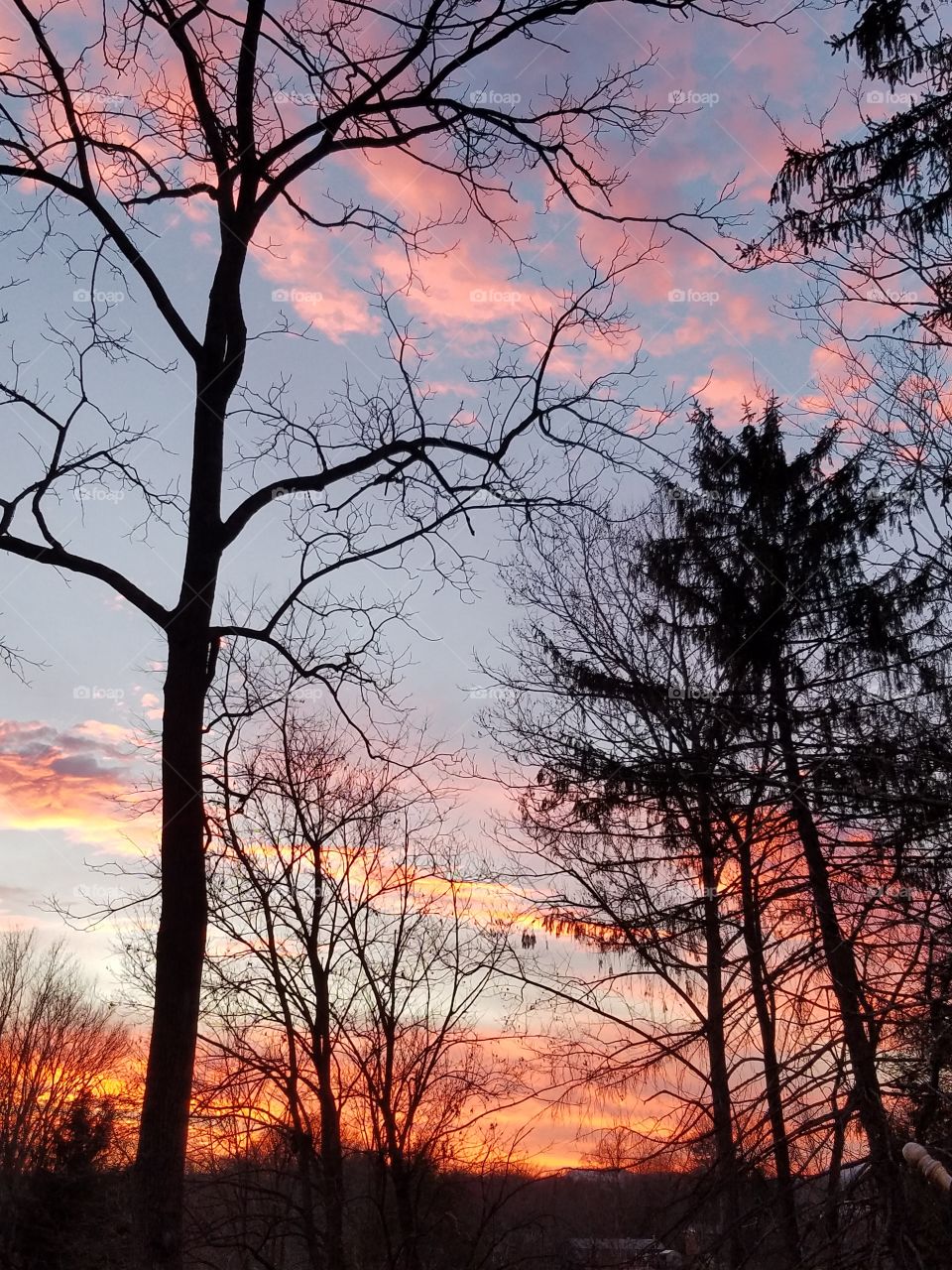 Your best photo of 2016 is definitely the afternoon sun so bright and brilliant