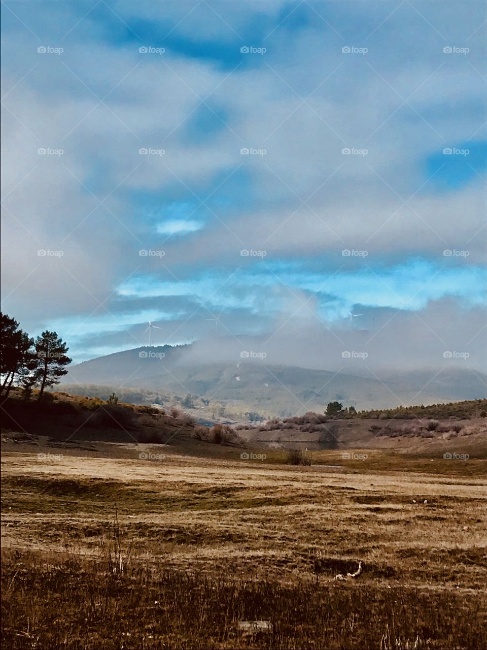 landscapes with charm