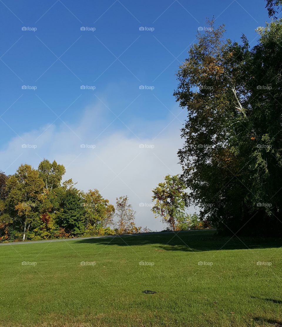 morning fog on water