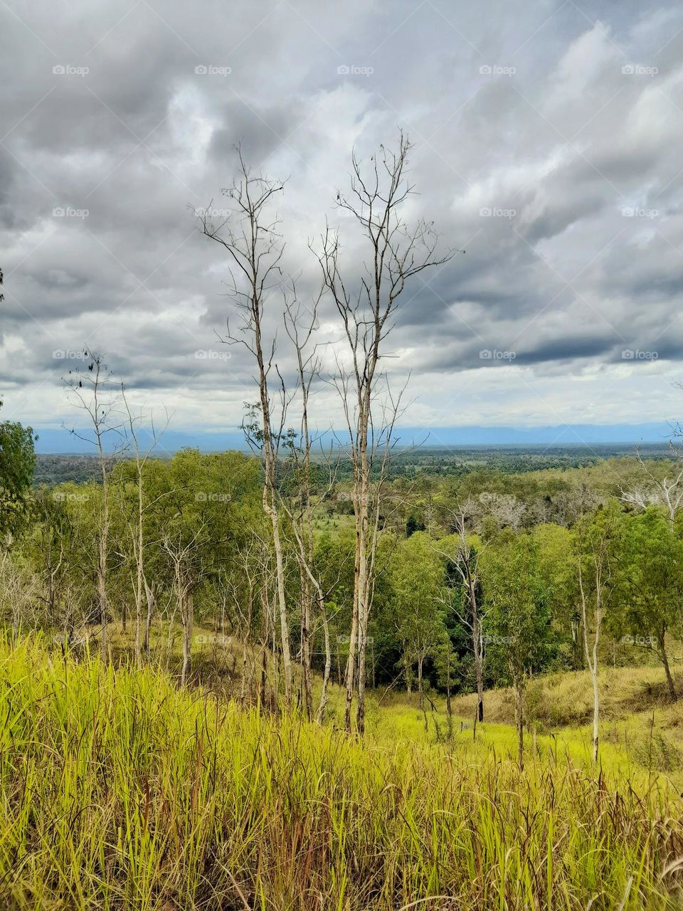 Mekeo landscape, Papua New Guinea