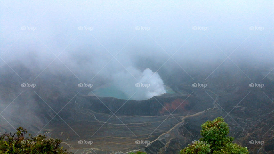 fog natures active costa by lilduval
