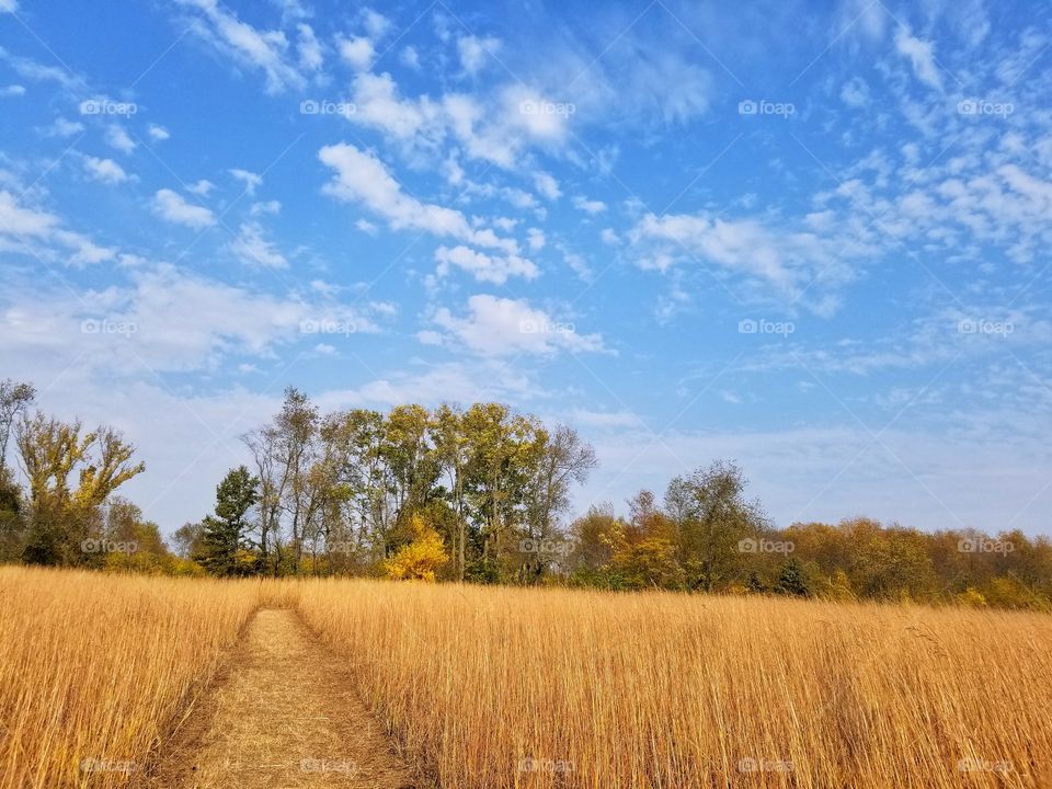 fall sky