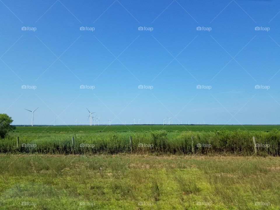 Open field with dozens of windmills in the distance