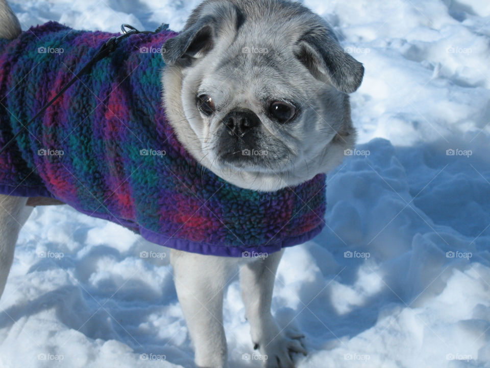 Paula in the snow