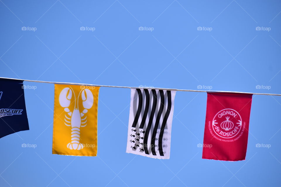 Regional flags against blue sky