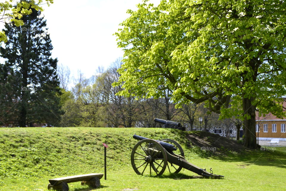 Old fort. With canons