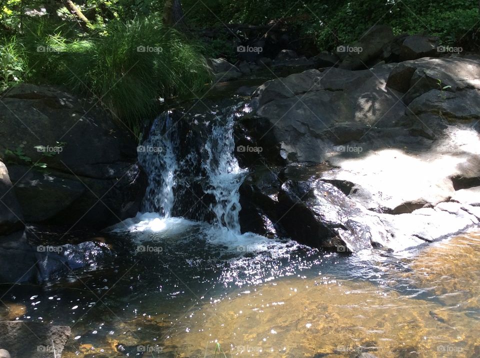 A shadow or a vision?. The baptismal pool at the biblical gardens in Northern California, note the wet rock, what do you see? 