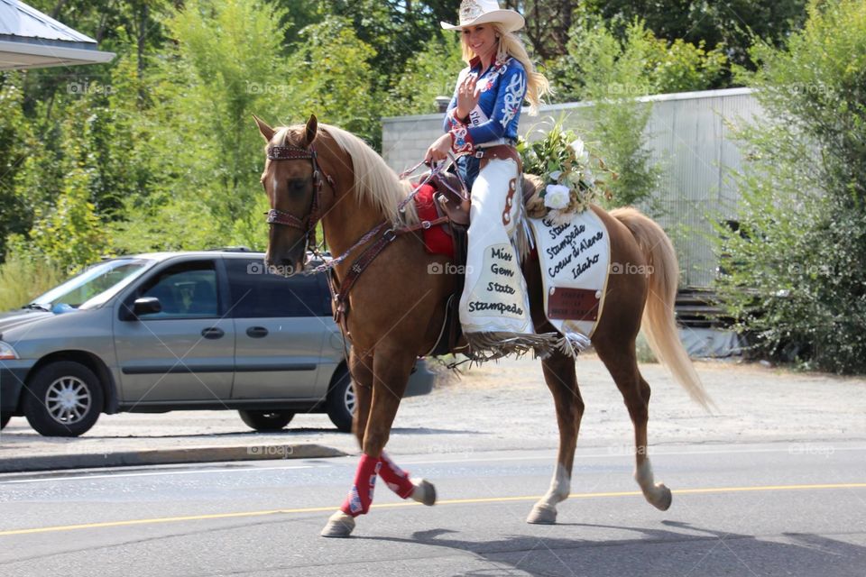 Horse Rider