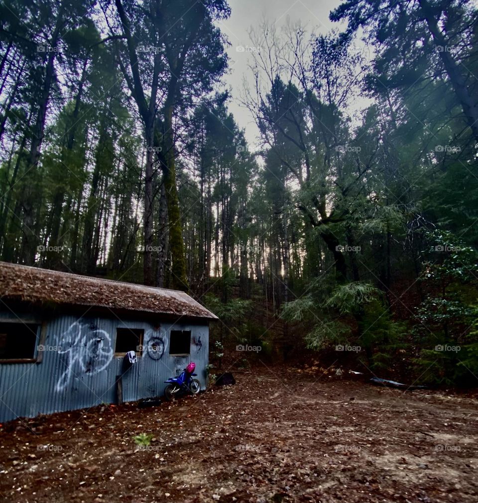 Old Tin cabin tucked in the woods 