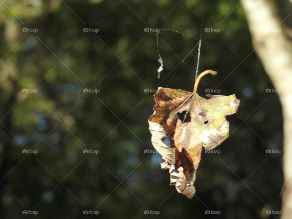 You have me hanging by a thread.