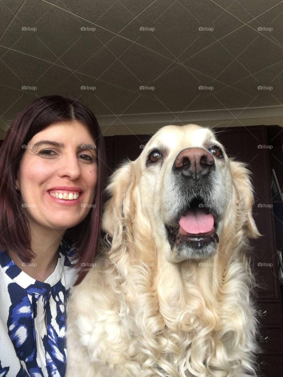 Portrait, Cute, Dog, Pet, Mammal