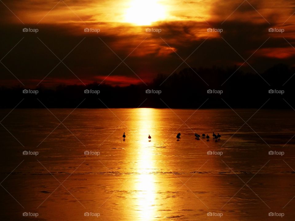 Sunset on the lake with ducks