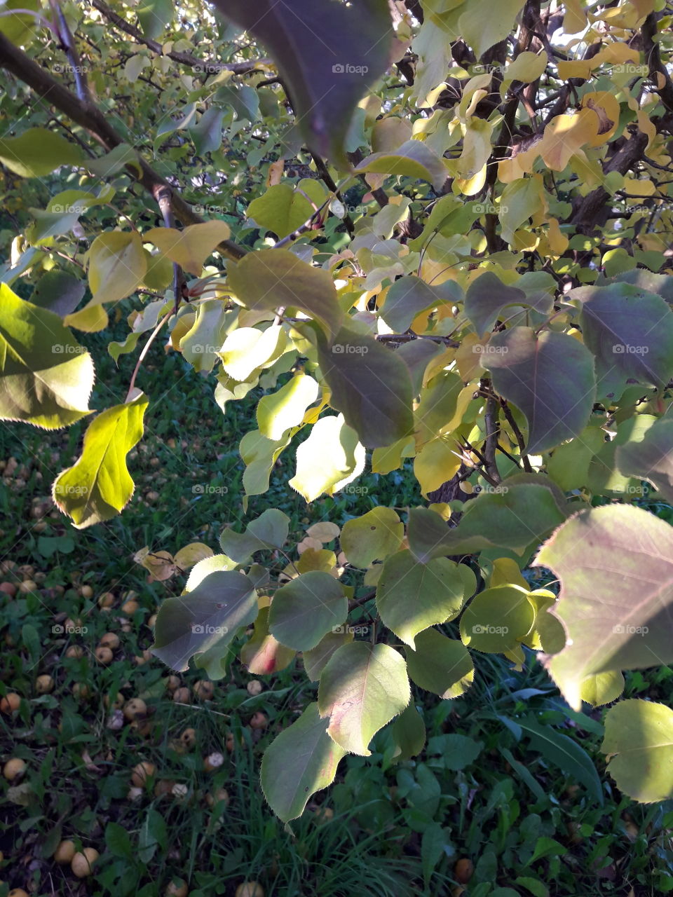 Город осенью