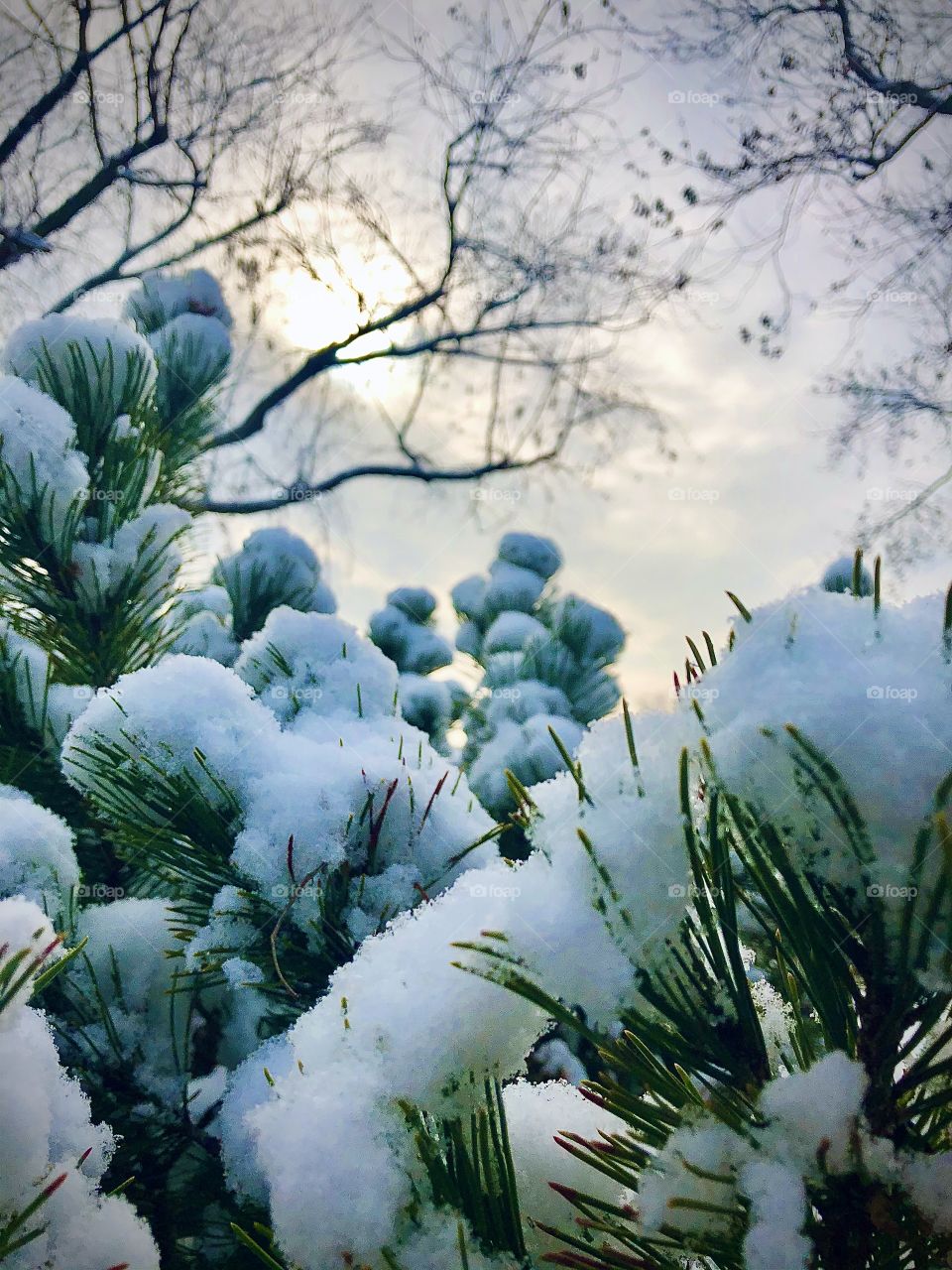 Life always prevails even when it’s cold and icy