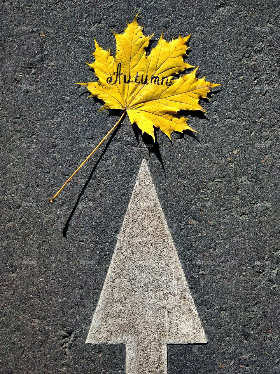 There is a white arrow on the asphalt, which points to a yellow leaf of a tree.  On the sheet the inscription "autumn"