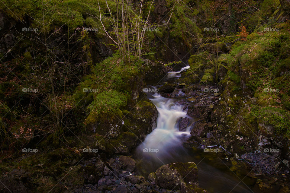 Thirlmere stream. Mountain stream leading down to Lake Thirlmere