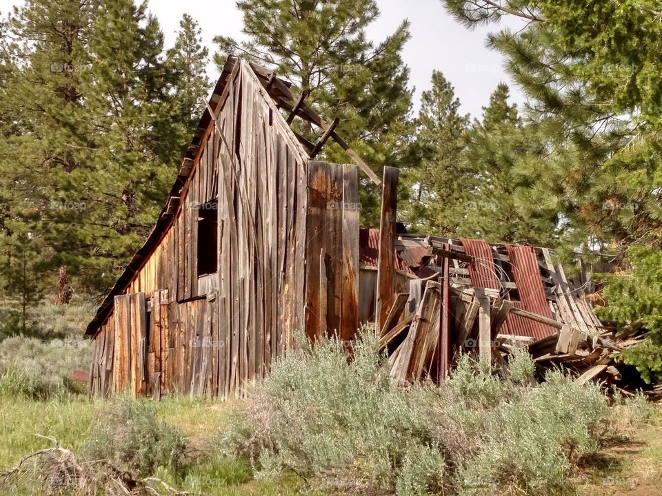 Forgotten Barn