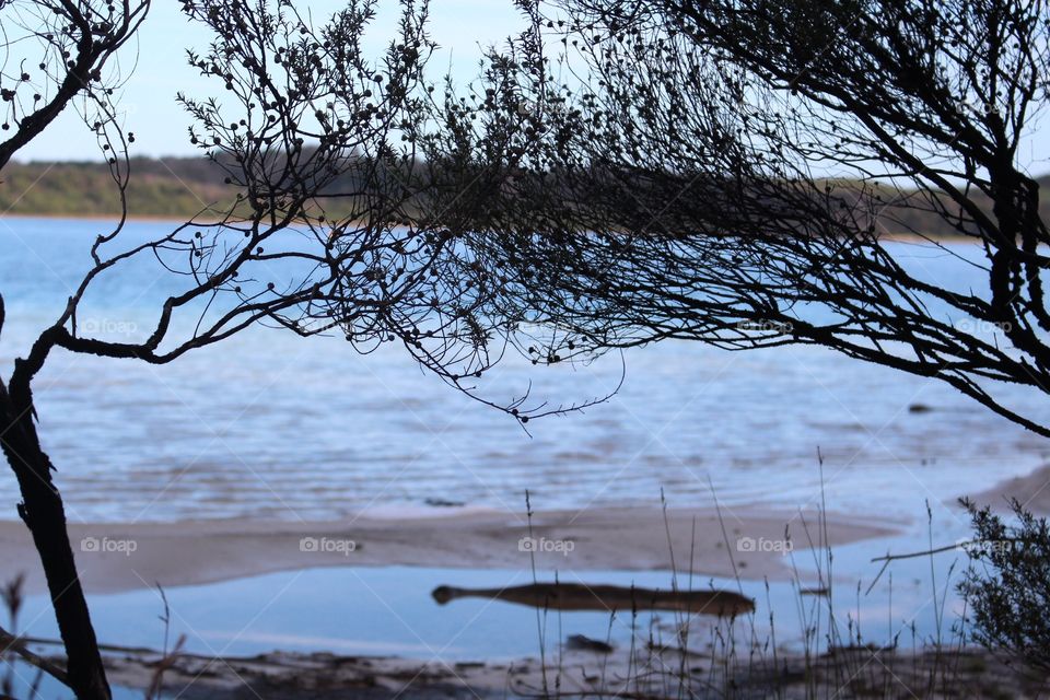 mirrored and reflected lake