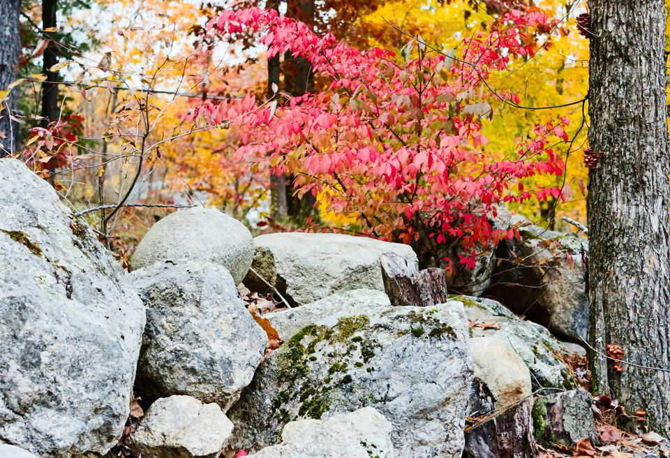 New England brick wall in the fall. New Hampshire.