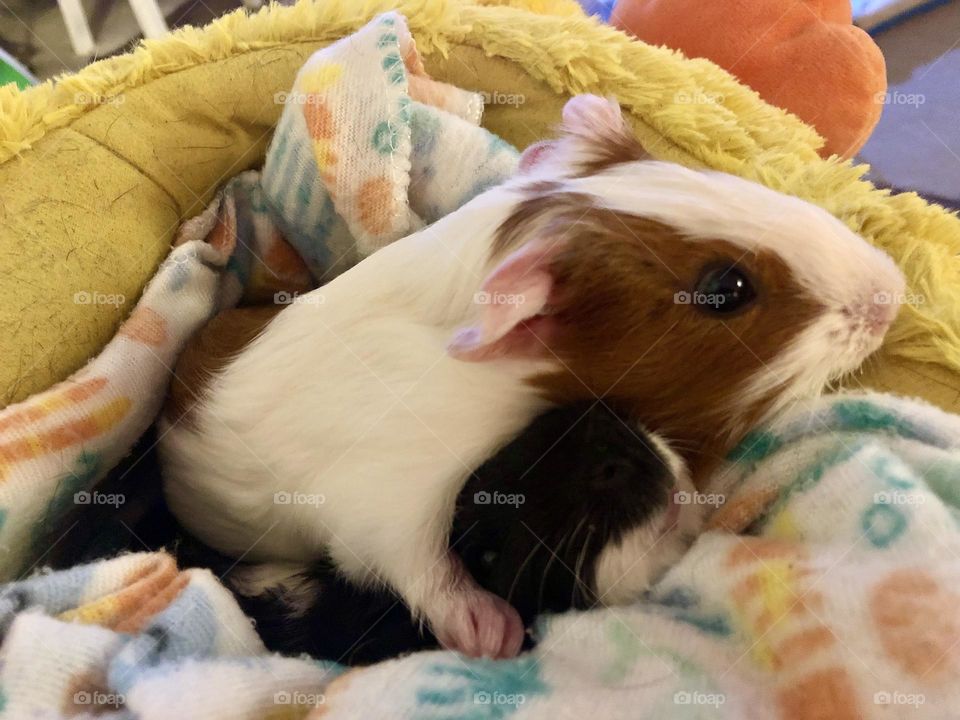 Brotherly hugs / Nicky hugging Jake , very protective 