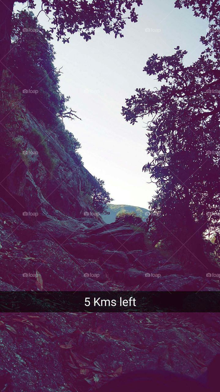 Nature, No Person, Outdoors, Wood, Winter