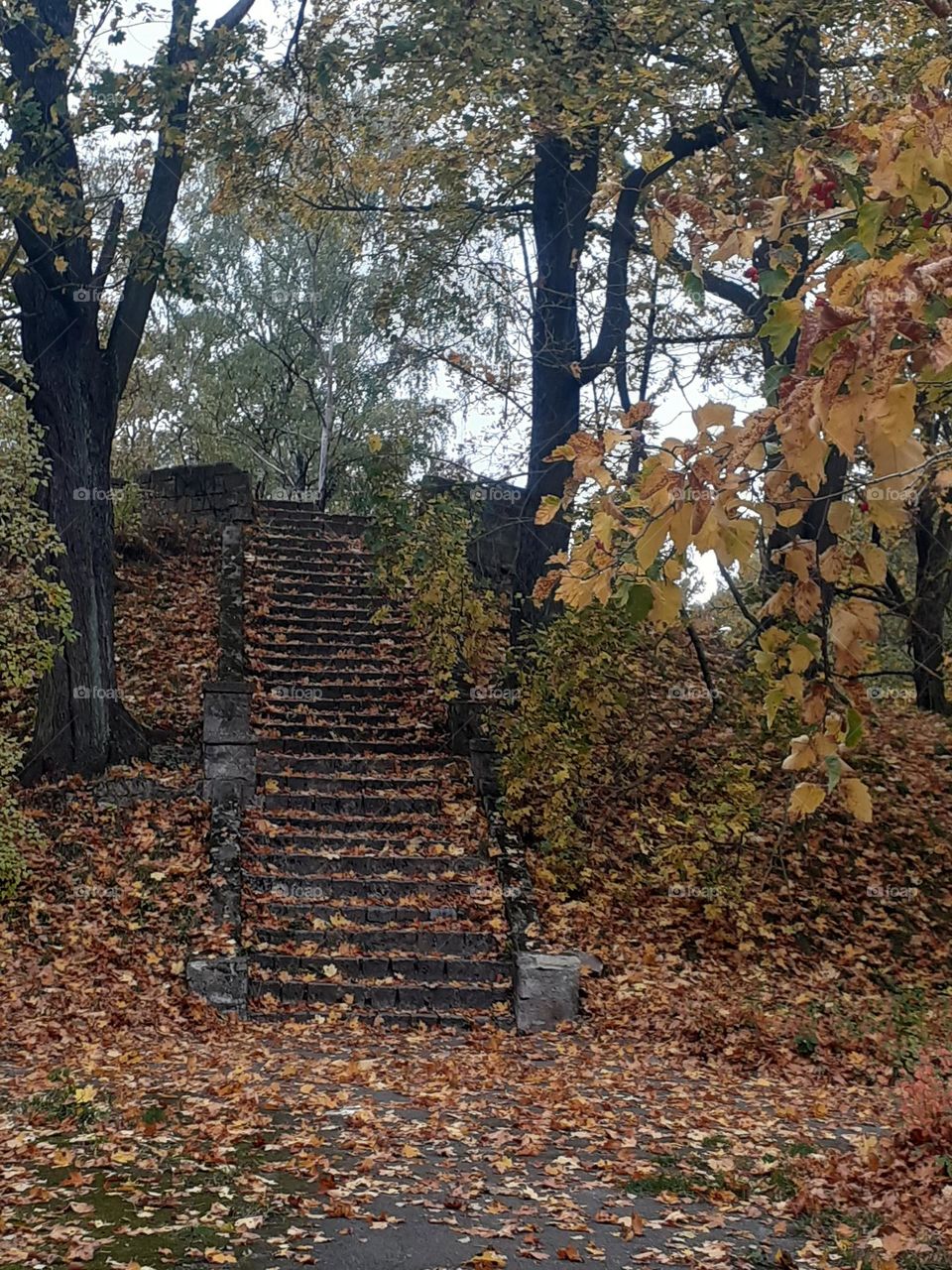 Малый парк Аркадия. Рига