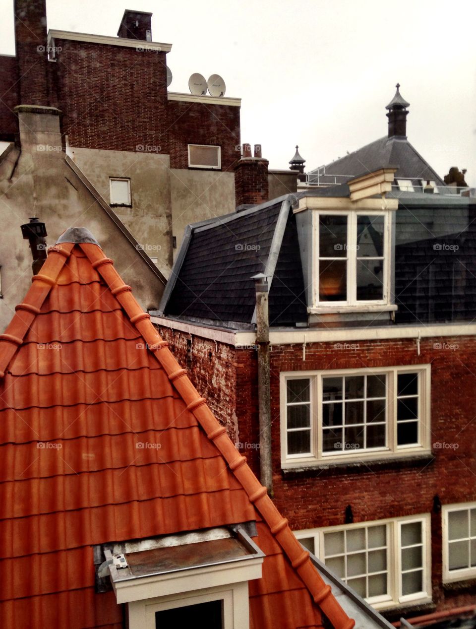 Amsterdam Rooftops 