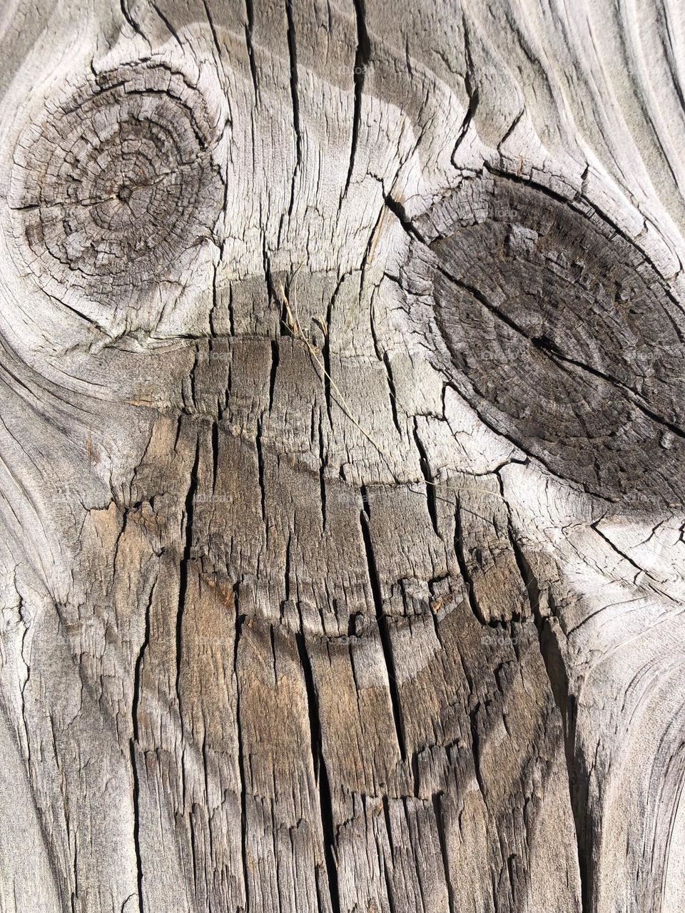 I see a face!!! Took a pic of the knot holes in a plank on the upper deck at the bay house in Texas- never saw it before, but never was really looking for a unique shot of wood!