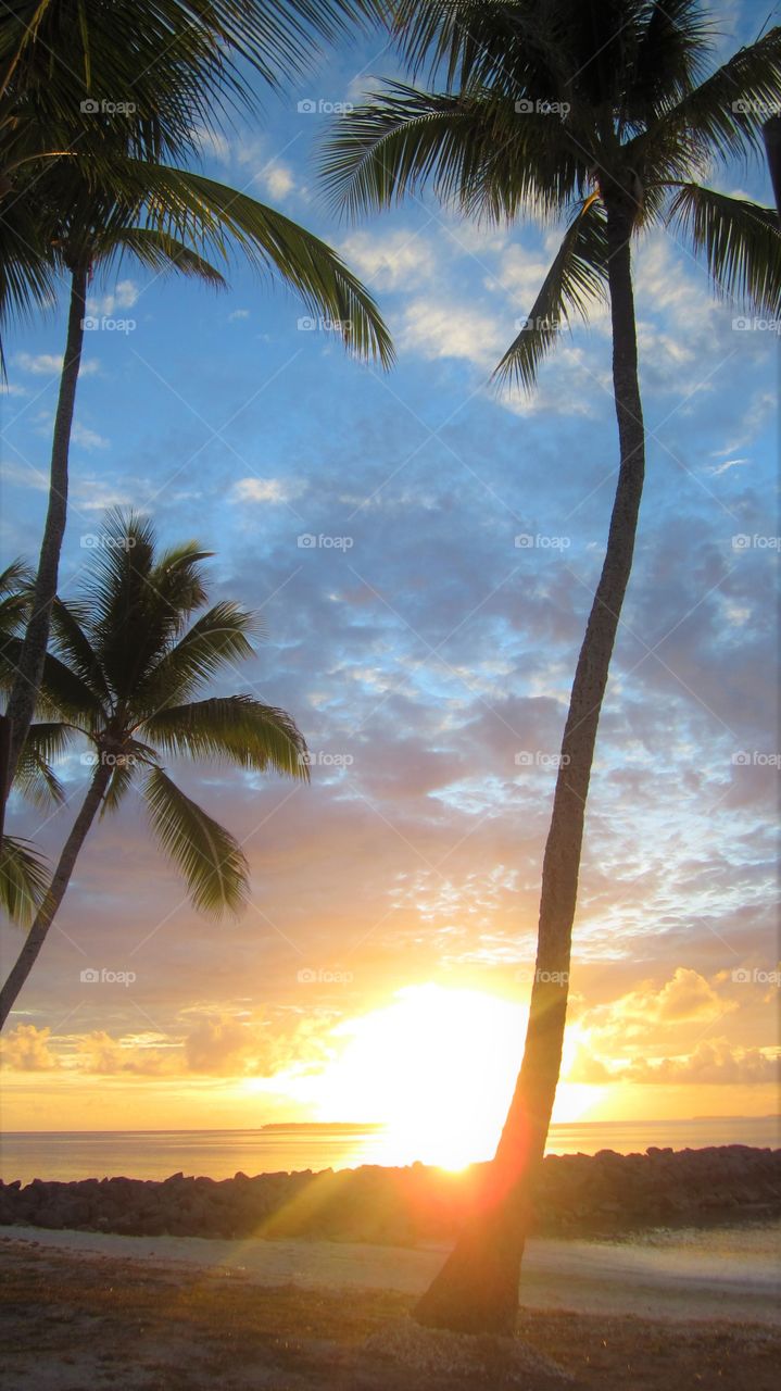 The bright sun sets on an island in the South Pacific, palm trees by the shoreline. The water is calm and the setting is relaxing.