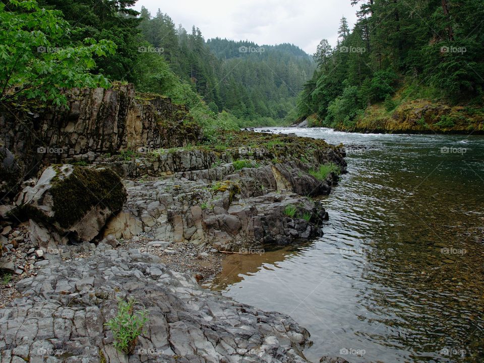 The rugged river banks made from textured hardened lava rock of the fast flowing Umpqua River in Southwestern Oregon. 