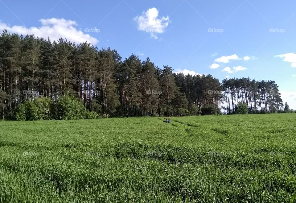 green field and children play summer landscape