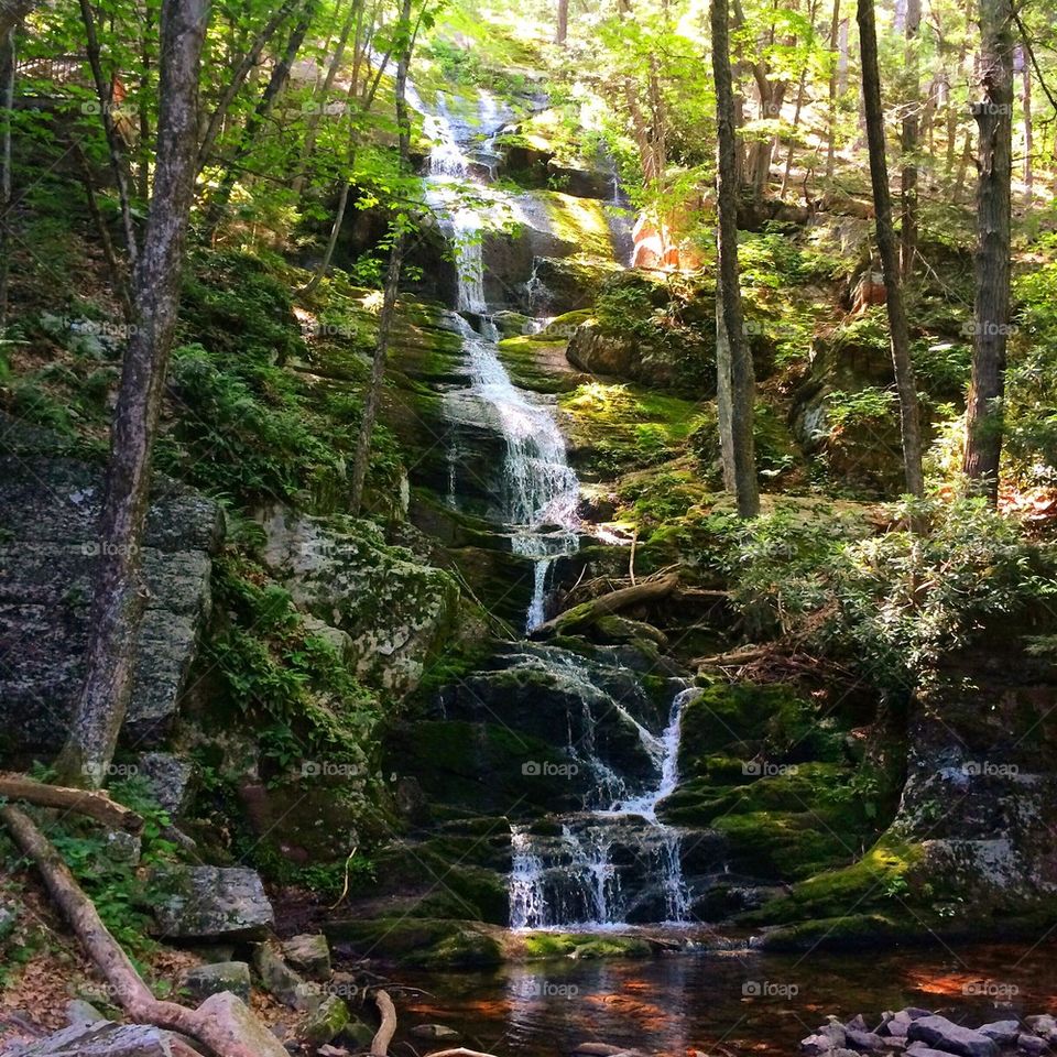 Waterfall in the Woods