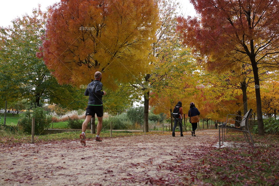 Dimanche d'automne au parc