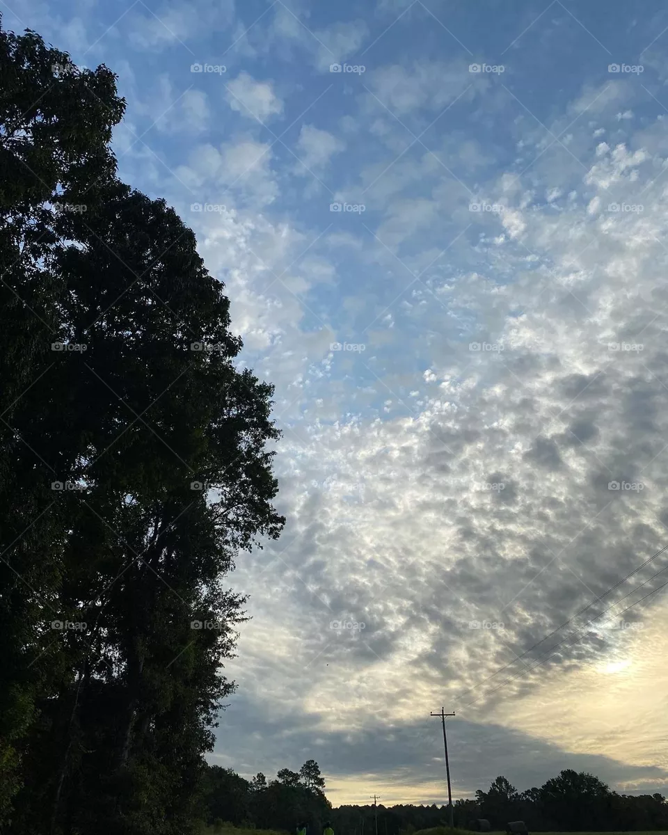 Beautiful day 