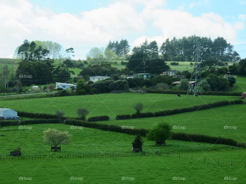 Beautiful New Zealand