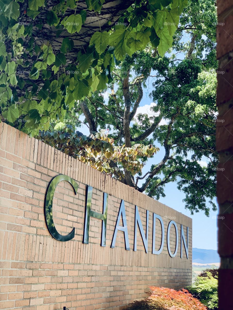 Chandon! 