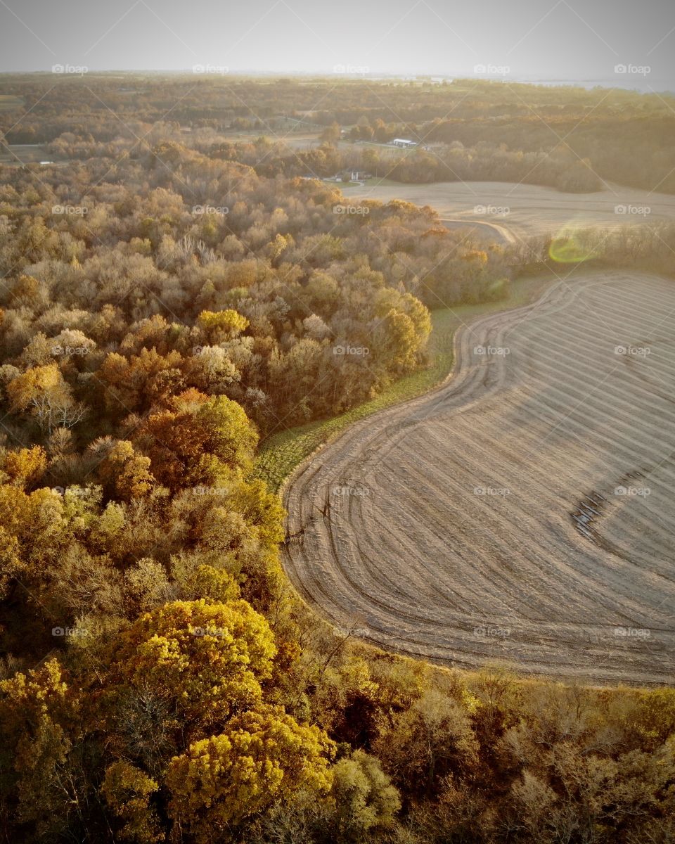 Aerial view of the autumn colors.