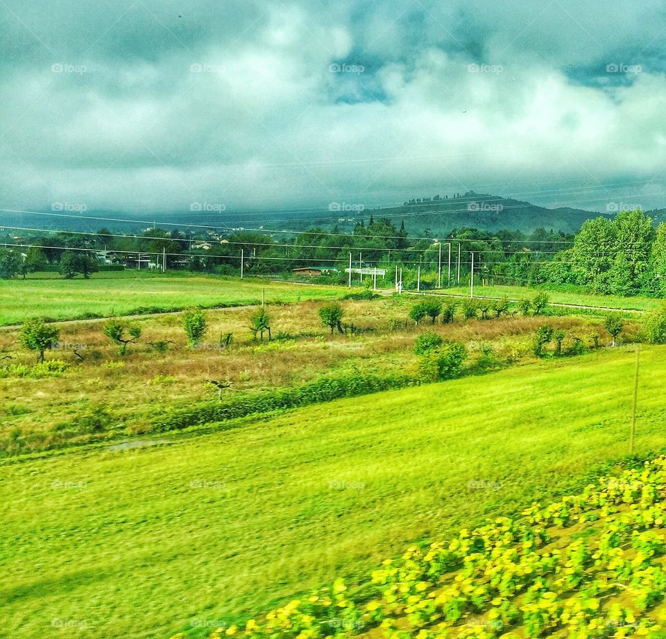 Farm in Tuscany