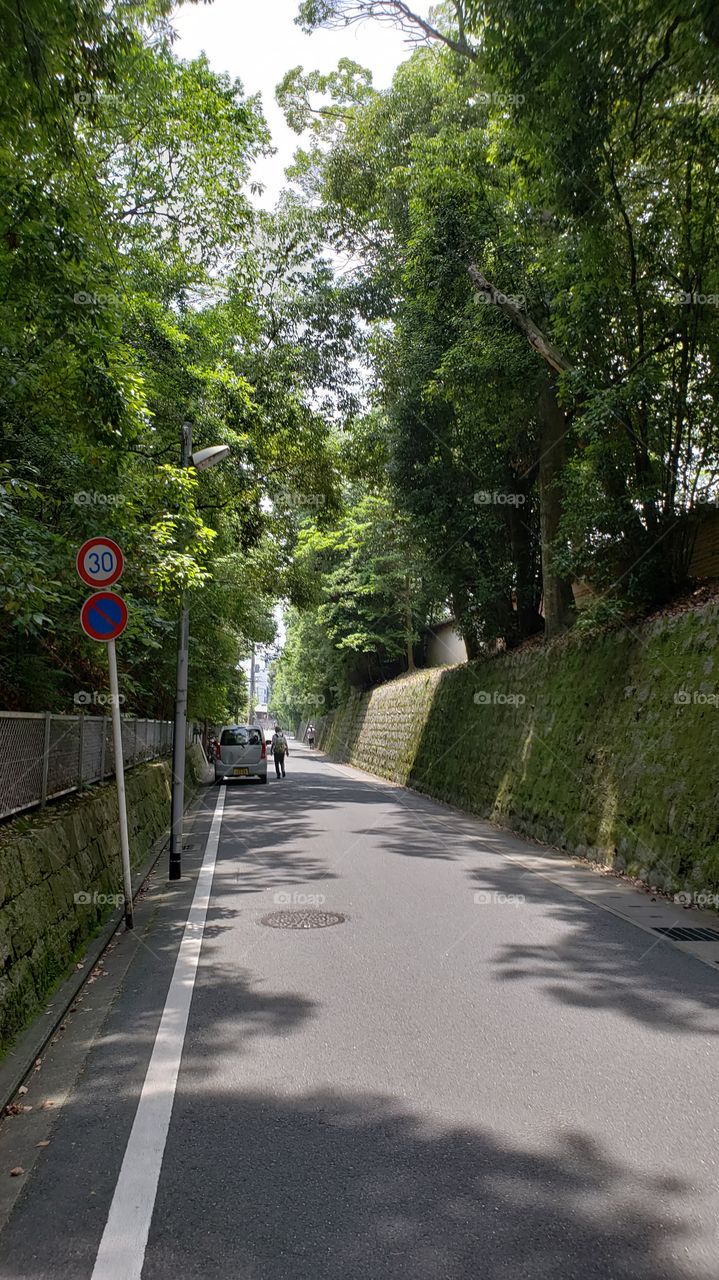Peaceful Kyoto Street