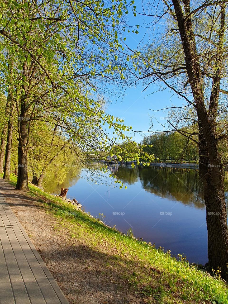 Beautiful scenery next to the river in the city centre.