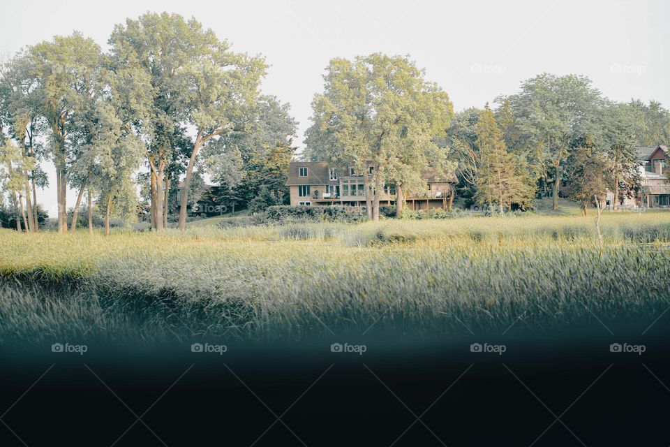 a walk in the park exploring nature in the spring