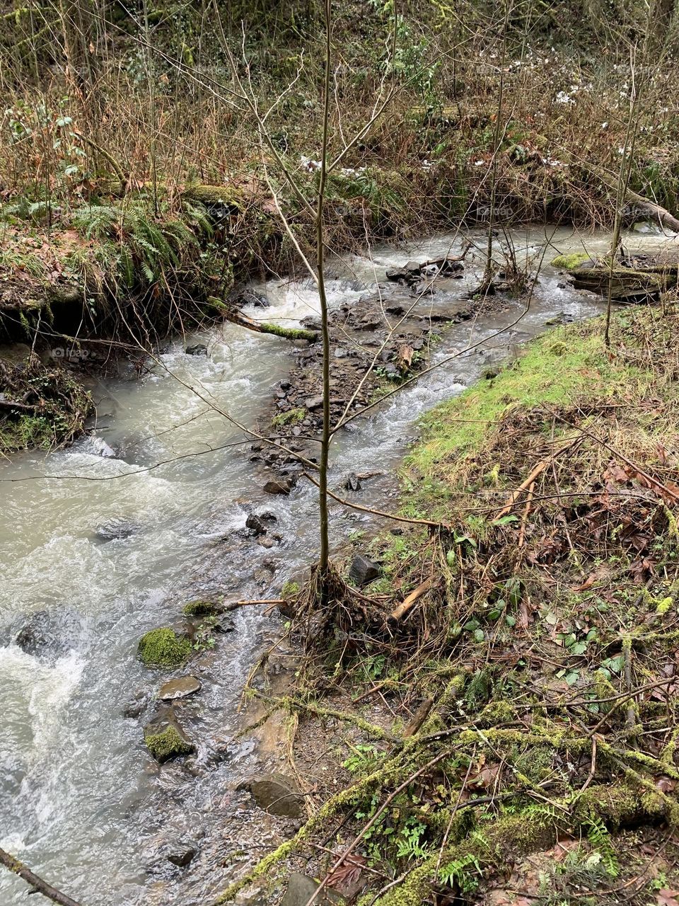 Portland Oregon beauty 