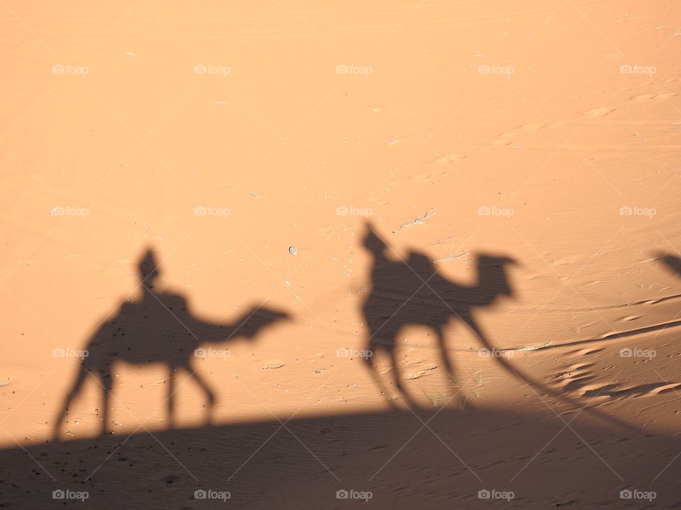 Out & about on the dromedary
