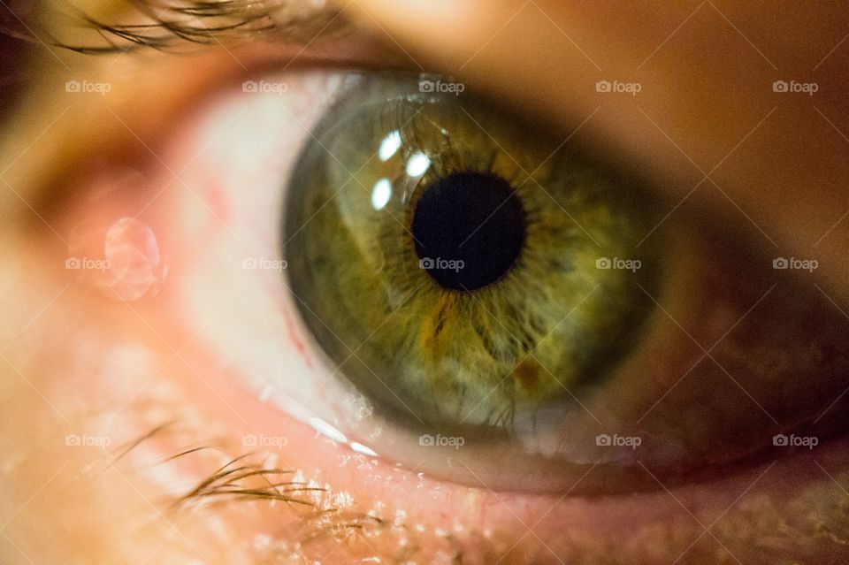 Magical iris. 