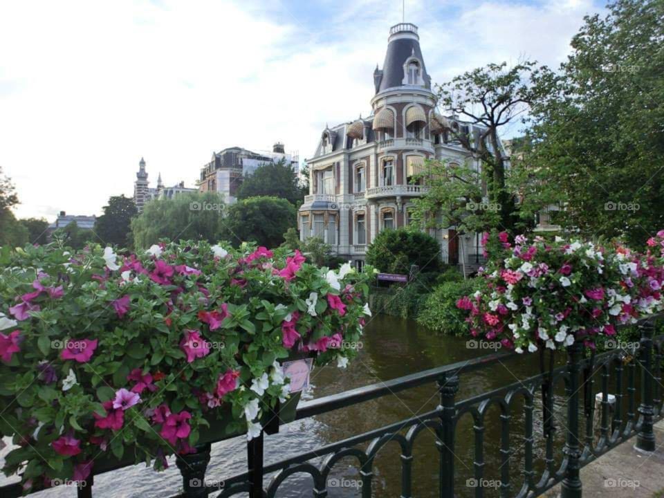 Bridge, water, flower, house