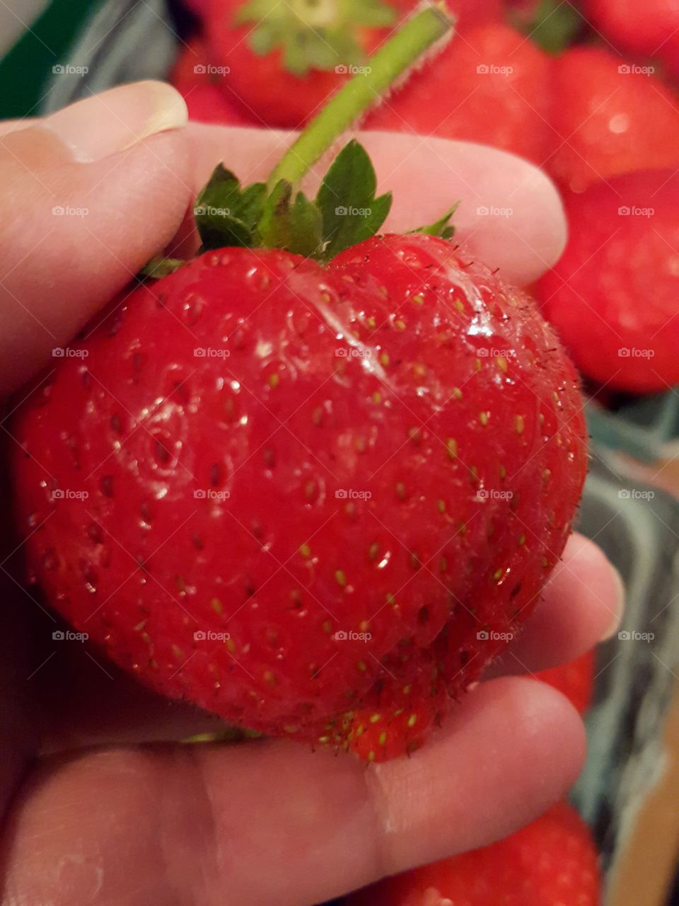 Strawberries from Farmers Market